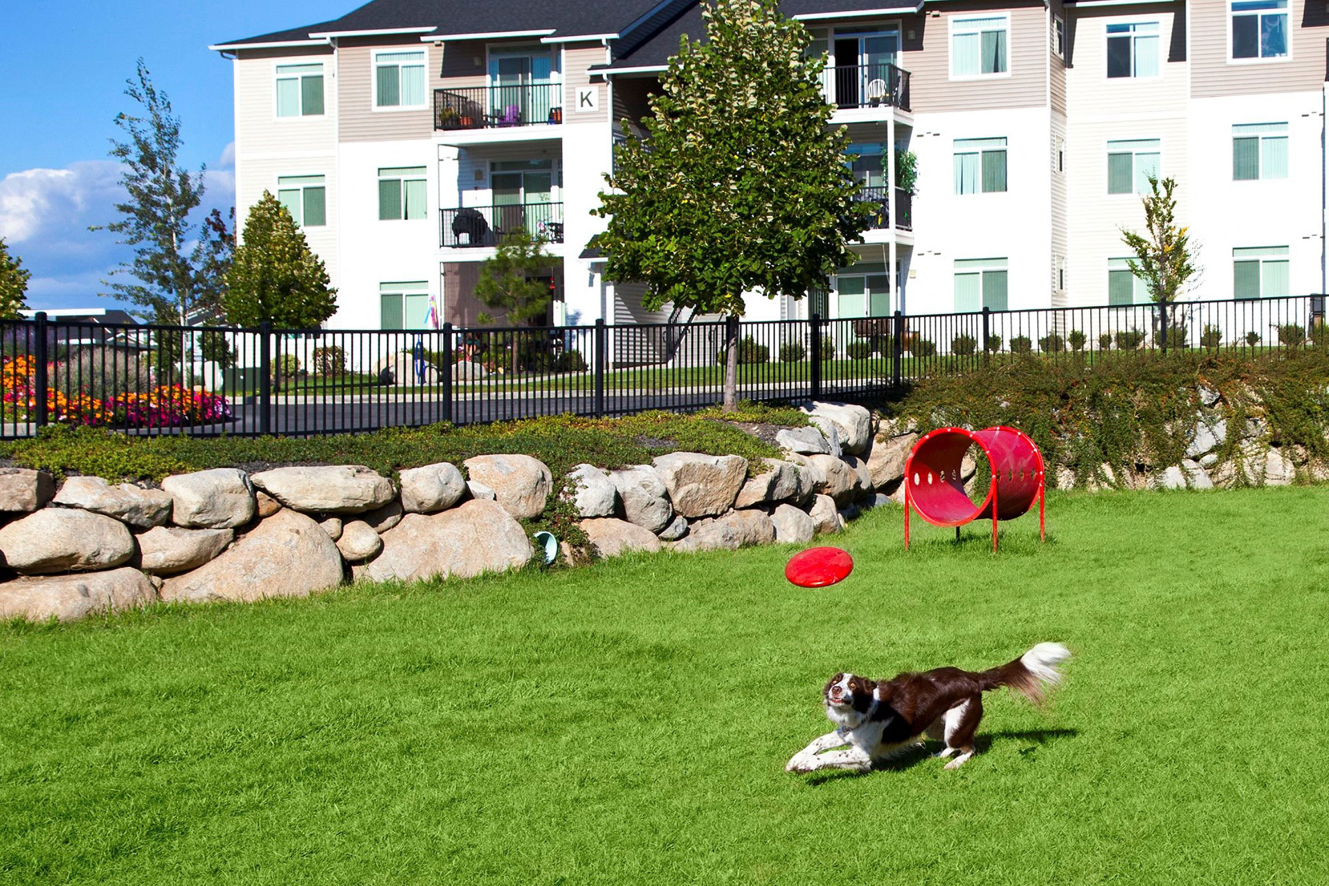 Spacious Dog Park